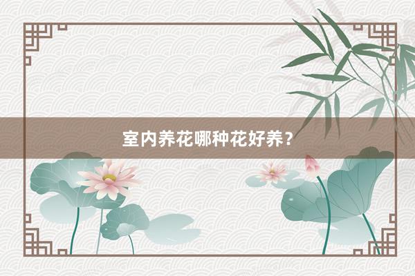 室内养花哪种花好养？